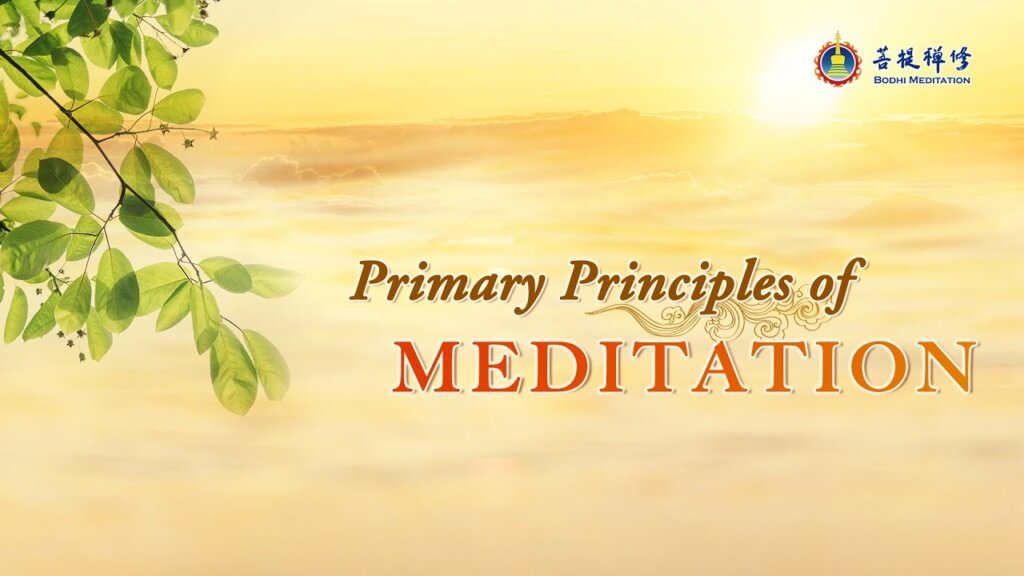 primary-principles-of-meditation-meditation-for-beginners-bodhi